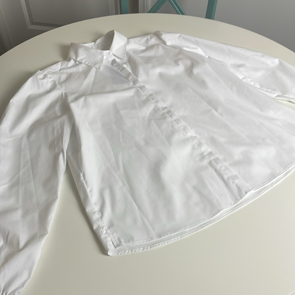 Biltmore Women’s White Button Down Dress Shirt- pleated upper back-Medium - Picture 6 of 15